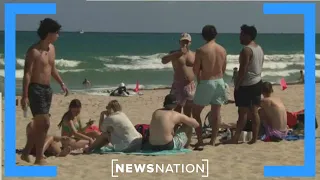 Miami Beach Mayor: ‘We don’t want spring break’ | Morning in America