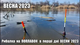 Рибалка на ПОПЛАВОК в перші дні ВЕСНИ 2023. Ловля на ПОПЛАВОЧНУЮ УДОЧКУ ранньою ВЕСНОЮ. Дністер.