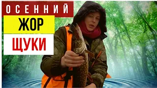 На рыбалке. Осенний жор ЩУКИ!