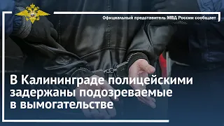 Ирина Волк: В Калининграде полицейскими задержаны подозреваемые в вымогательстве