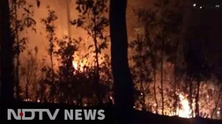 Uttarakhand fires: Natural or man-made disaster?