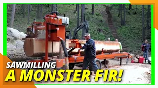 Fearless Sawmill Action: Conquering the 20 Ft Douglas Fir #sawmilling #woodmizer