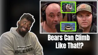 AMERICAN REACTS TO Scarier Animals: US or Australia? - Joe Rogan and Adam Greentree