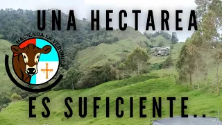 UNA HECTAREA ES SUFICIENTE