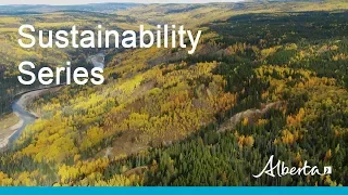 Sustainable Forestry: Ecosystem-Based Management in Alberta