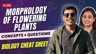 Morphology of flowering plants | Concepts + Questions | Biology Cheat Sheet | NEET 2023