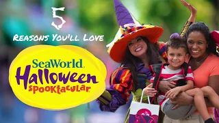 Halloween Spooktacular at SeaWorld San Antonio