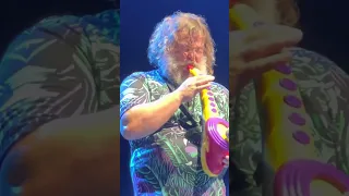 Jack Black Plays The Sax-A-Boom At His Concert! #shorts