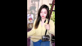 Shanghai Bund《上海灘》LIVE Erhu Peiyao 二胡 沛瑶 Chinese Song Tangyin 唐音樂隊 國樂 เจ้าพ่อเซี่ยงไฮ้