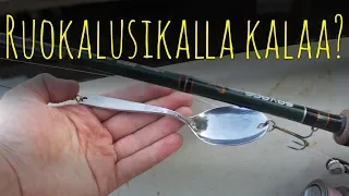 Can you catch fish with table spoon?