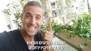 פורטולוקריה רגלנית אפריקנית (עץ השפע) אחד הצמחים הכי חזקים שיש