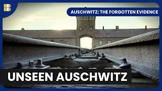 Auschwitz: The Forgotten Evidence | Reel Truth History Documentaries