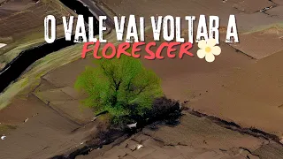 O Vale vai voltar a Florescer