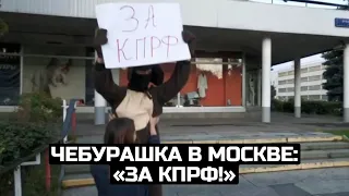 Чебурашка в Москве: «За КПРФ!»