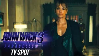 John Wick: Chapter 3 - Parabellum (2019 Movie) Official TV Spot “Action”– Keanu Reeves, Halle Berry