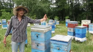 Формирование воспитательницы и отводка в один прием. 23. 05. 2018 г.