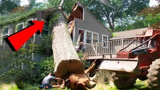 Dangerous Fastest Big Chainsaw Cutting Tree Felling Fails Skill, Tree Falling on Houses Compilation