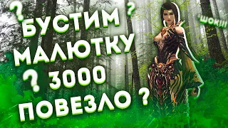 Последнее видео с бустом АССАСИНА - 20000 за 2 месяца в Lineage 2 Essence