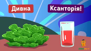 Ксанторія настінна. Фарба з лишайника. Цікаві досліди з хімії, фізики та біології