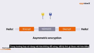 [Vietsub] What is PKI? | How does PKI Work?