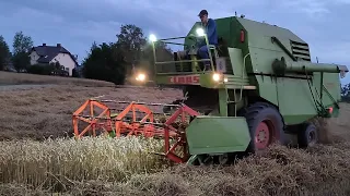 Claas Mercator 75. Żniwa 2022!