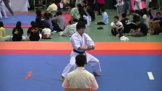 【極真館】型競技一般男子の部入賞者決勝演武【2015春全日本】