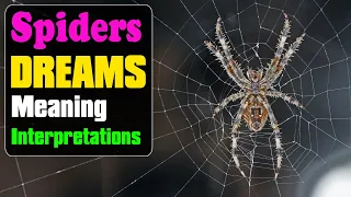 What Do Dreams About Spiders Mean? - Spiders Dream Meanings and Interpretation - Dream Meaning