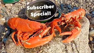 LOBSTER FORAGING With SUBSCRIBERS ! Epic Coastal Foraging With BEACH COOK UP