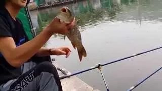 Рыбалка в Южной Корее