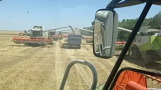 Уборка 2021 , воспоминание . Claas lexion.