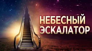 #189 Небесный эскалатор - Алексей Осокин - Библия 365 (2 сезон)