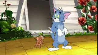 Tom And Jerry And The Wizard Of Oz Elevated