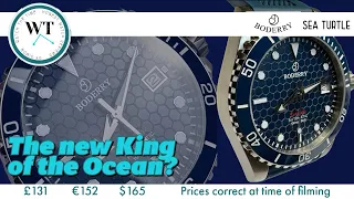 Boderry (SeaTurtle) | The New KING Of The OCEAN?? AFFORDABLE & Titanium… Any GOOD?? | AliExpress