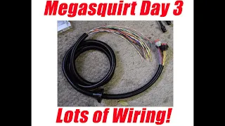 Megasquirt Day 3: Wiring, Wiring, and more Wiring