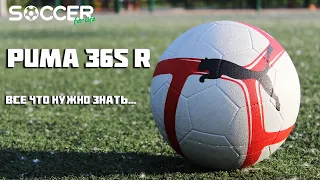 Самый УНИВЕРСАЛЬНЫЙ мяч, за доступные деньги... PUMA 365 R BALL
