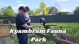 Kyabram Fauna Park Trip