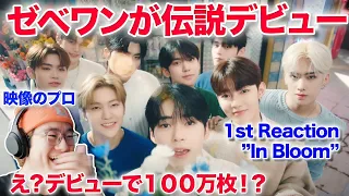 OMG! in love with ZB1!!! 【1st Reaction】ゼベワン伝説デビューMVに映像のプロが衝撃 Zerobaseone  'In Bloom' MV リアクションENG/JP