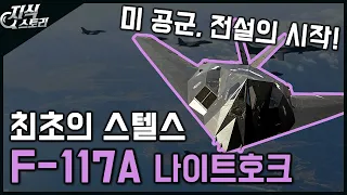 세계 최초 스텔스기 "F-117A 나이트호크" / 미 공군, 전설의 시작 [지식스토리]