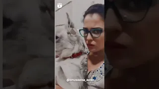 Madam Sir Gulki Joshi aka Haseena Malik BTS / Madam Sir