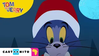 Tom and Jerry: Christmas Cookie | Cartoonito Africa