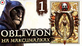 🔴КАДЖИТ на максимальной сложности # 1 | The Elder Scrolls IV: Oblivion