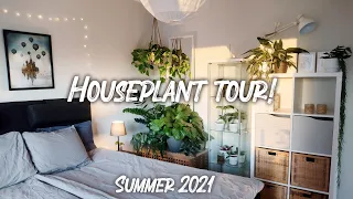 HOUSEPLANT TOUR summer 2021 | 80+ plants in a small apartment