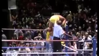 Ric Flair vs. Hulk Hogan Part 1  WWE 1991