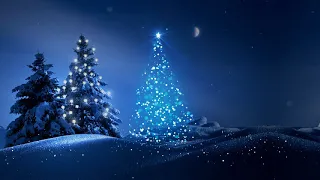 HD Футаж Новогодняя елка