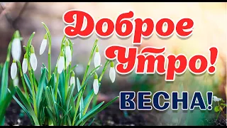 💛С ДОБРЫМ УТРОМ! ВЕСНА ПРИШЛА! КРАСИВАЯ МУЗ.ОТКРЫТКА!С ДОБРЫМ УТРОМ!