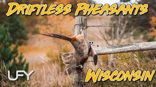 Pheasant Hunting Wisconsin Driftless