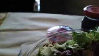 Spinax Likes Salad