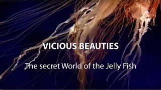 ► Vicious Beauties - The Secret World Of The Jellyfish (Full Documentary, HD)