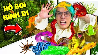 THỬ THÁCH HỒ BƠI KINH DỊ NHẬN 10 TRIỆU | PHONG CẬN VLOG