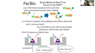DNA sequencing methods - an overview of Sanger, Illuminia, PacBio, and Oxford NanoPore